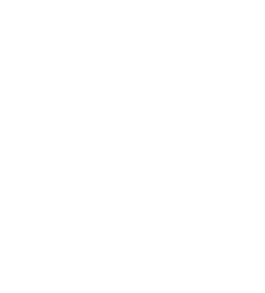 Gazelle 2024 udmærkelse - hurtigst voksende virksomhed